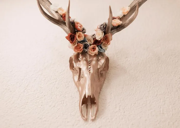 Al-avioeler شقة ايشجل